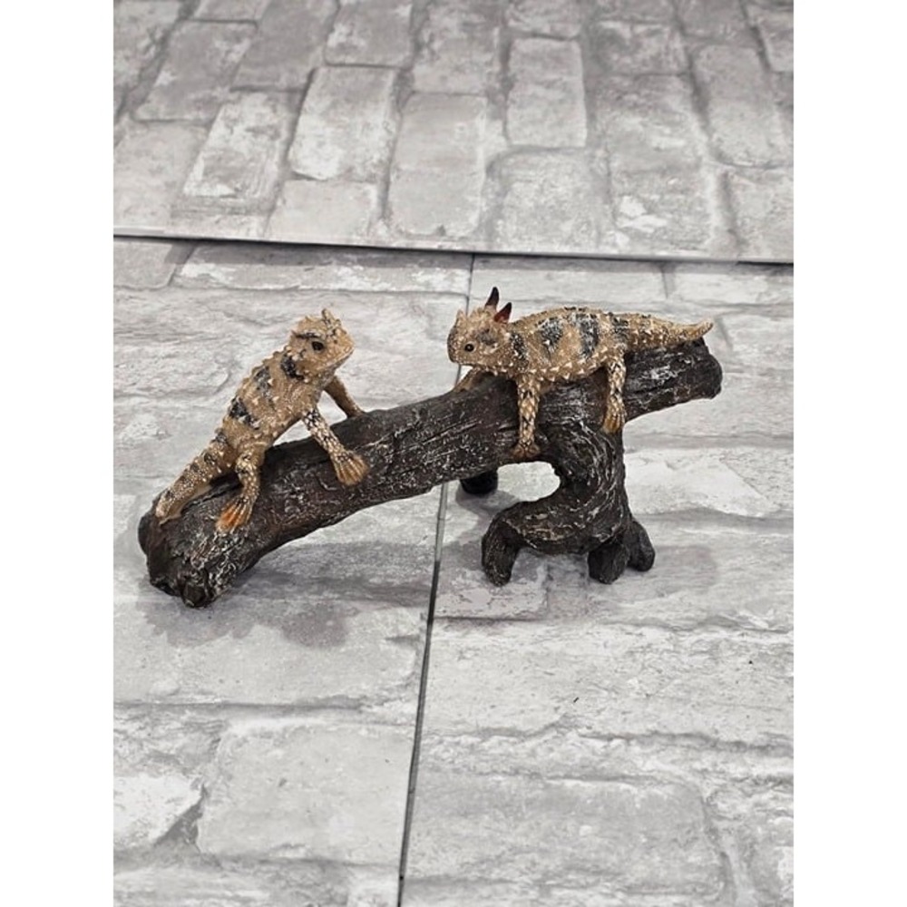 Reptile Cage Cccessories Texas Horned Lizards On Tree Stump